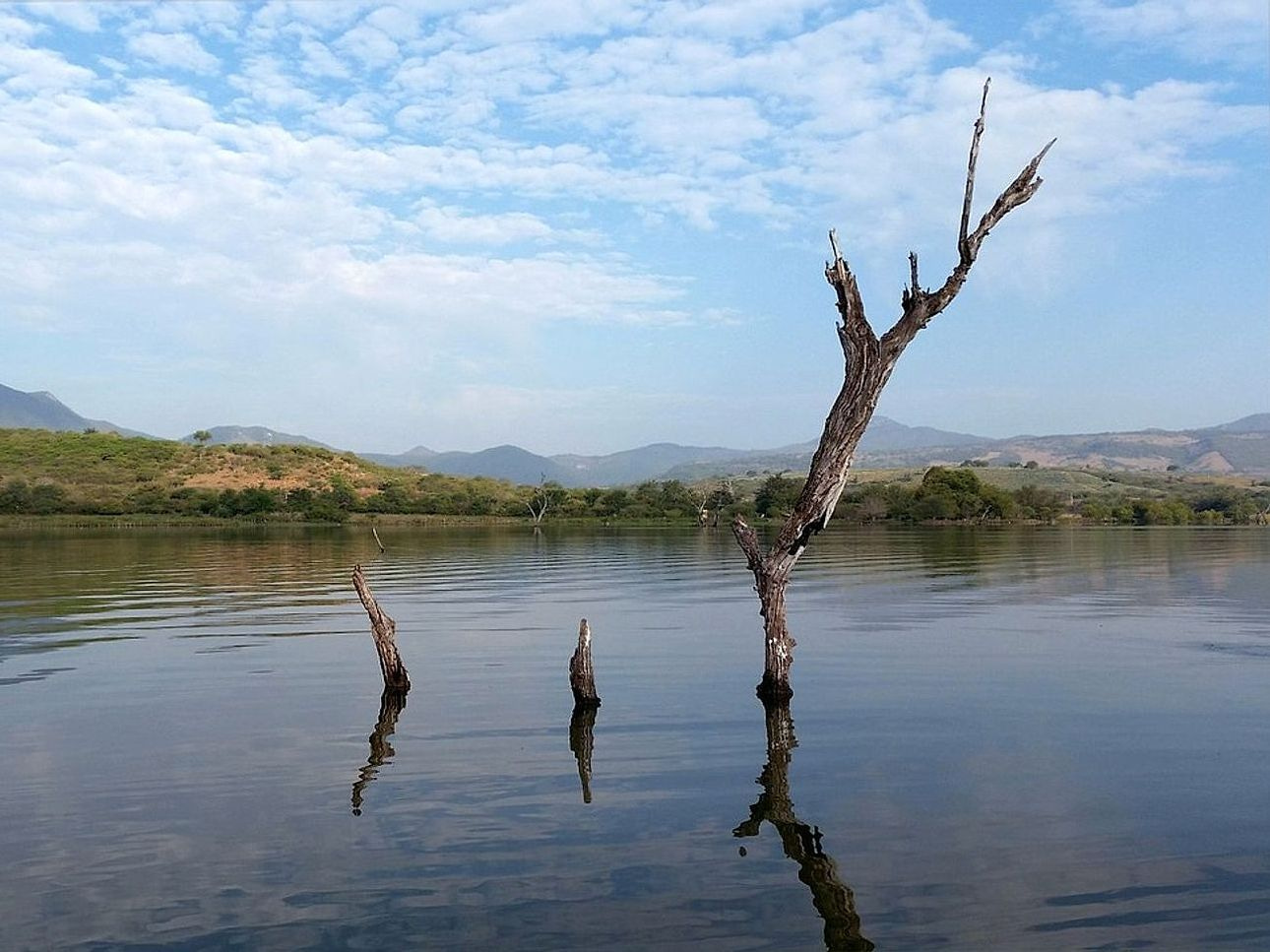 A shallow channel where freshwater fish cruise the river bank