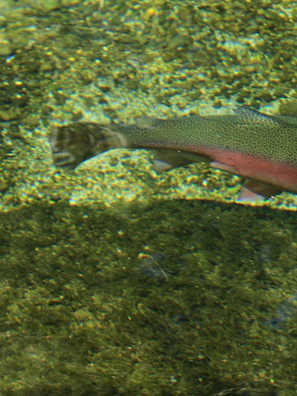 An angler checking tackle before casting